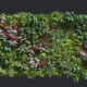 The Plant Library Blender Assets Download Free Blender Viá T Nam